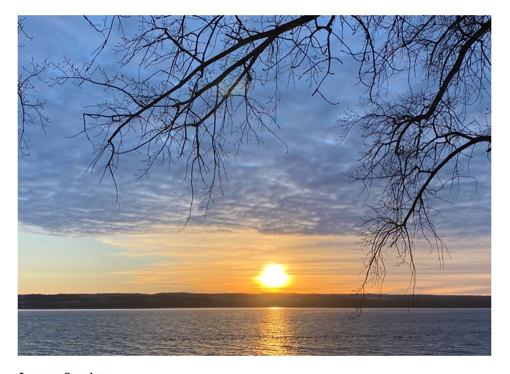 Color photo of the sun rising over Cayuga Lake. Small waves ripple on the surface of the lake, which makes up the bottom “layer” of the photo. Silhouettes of Canadian geese and bufflehead ducks, which appear tiny, can be seen toward the middle of the lake. The eastern shore of the lake rises above the water; it makes up the next layer of the photo. It appears dark in color, as just above the center section of the shore the newly rising sun is very bright--even though it’s being slightly muted and distorted by thin clouds. The reflection of the sun shines on the lake beneath it, causing that section of water to glimmer bright orange and yellow. The sun appears in the area of sky which makes up the third layer of the photo. This area of the sky consists mostly of thin, wispy clouds; they look like horizontal brush strokes of white, gray, and different shades of orange across a painting. There is a small area on the left side of the photo, also in the third layer, that is light blue sky. The fourth/top layer of the photo consists of slightly thicker clouds that appear purplish gray. A bright blue sky can be seen between these clouds. Silhouettes of tree branches appear from the upper right corner of the photo. They look like they’ve been layered over mostly the clouds in the fourth/top layer of the photo.