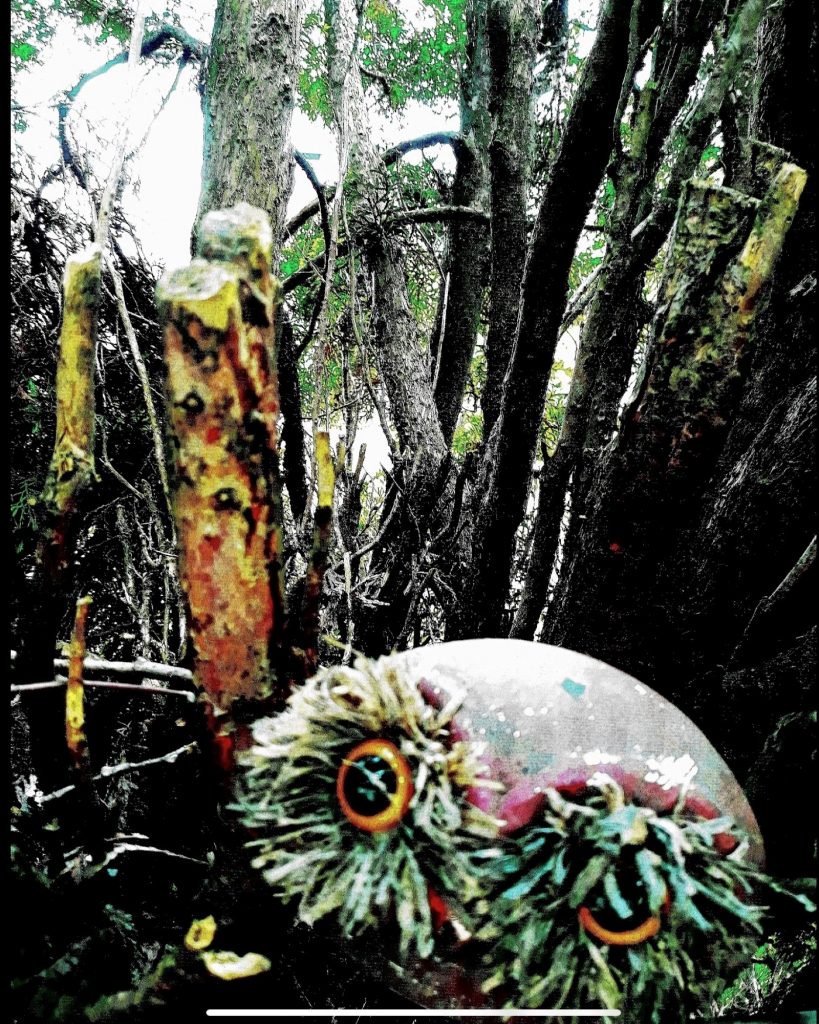 2020 Digitally-enhanced photo. An egg-shaped orb with owl-like eyes fills the lower third of a digitally-speckled forest background