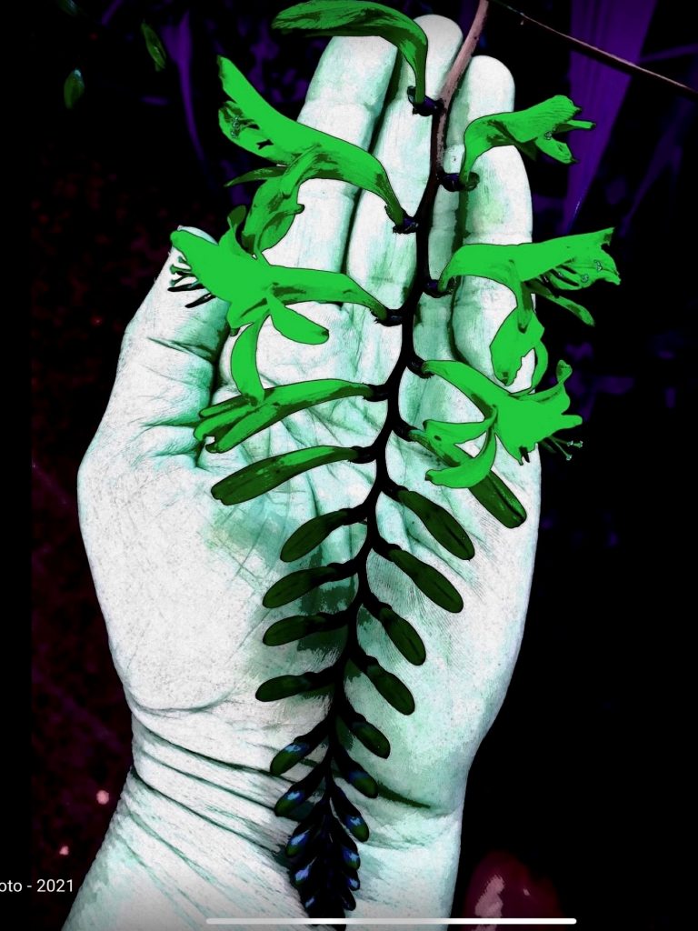 Digitally-enhanced photo, 2021. Depicting Recovery as incremental and reliant on Divine support. A ladder-like tapered green bloom sits along the top of a pale white palm and wrist which fills the image, top to bottom