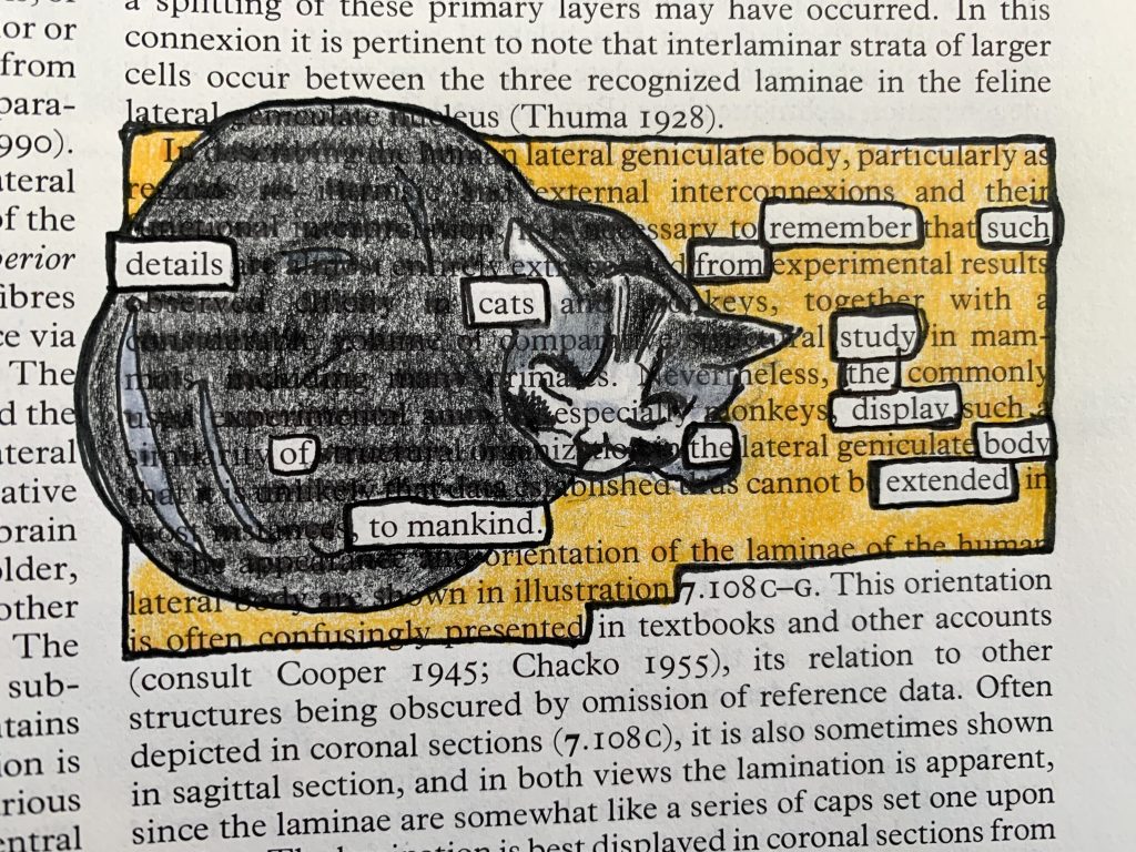An illustration of a peaceful sleeping black and gray cat curled up against a golden-yellow background all superimposed over the text of a page from a Gray's Anatomy textbook. There are chosen words left untouched and outlined in black ink to form a poem.