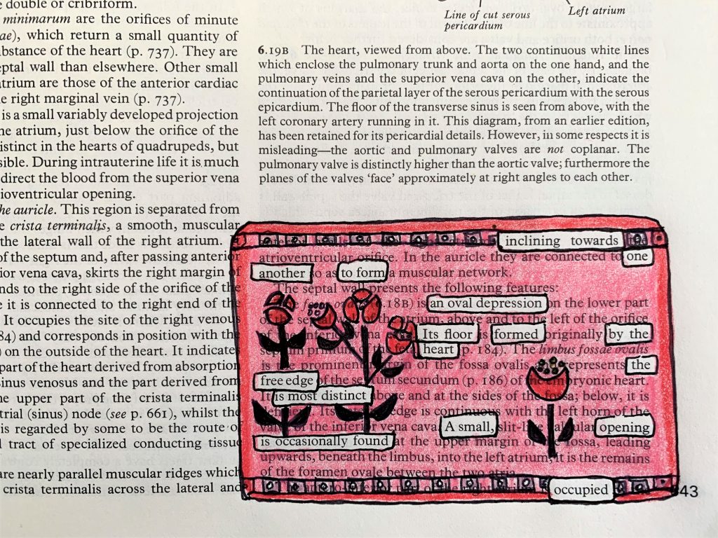 A block of pink color embellished with ink illustrations of small bright red flowers inspired by embroidery patterns is superimposed over the text of a page from a Gray's Anatomy textbook.There are chosen words left untouched and outlined in black ink to form a poem.