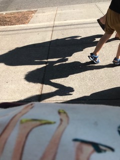 A blue-black shadow of a woman standing with her walker is cast on gray pavement. The shadow is long in the evening light, extending at a slight angle from the bottom of the frame to the top. Although the woman is stationary, the long diagonal lines evoke a feeling of movement.