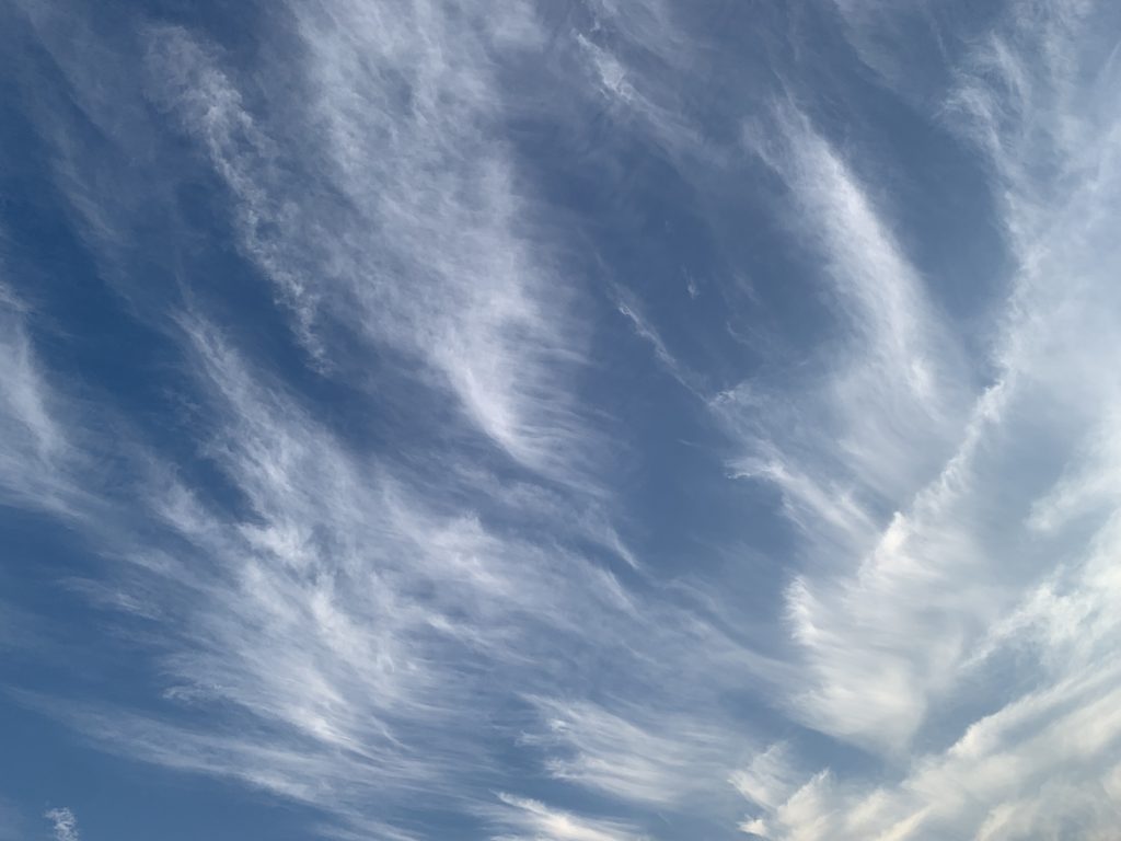 Multiple high altitude wispy “mares’ tails” cirrus clouds resembling horse tails below a blue sky.